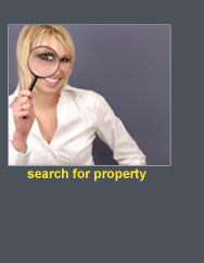 Search